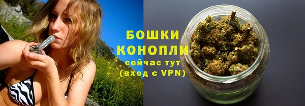 молекула духа Ельня